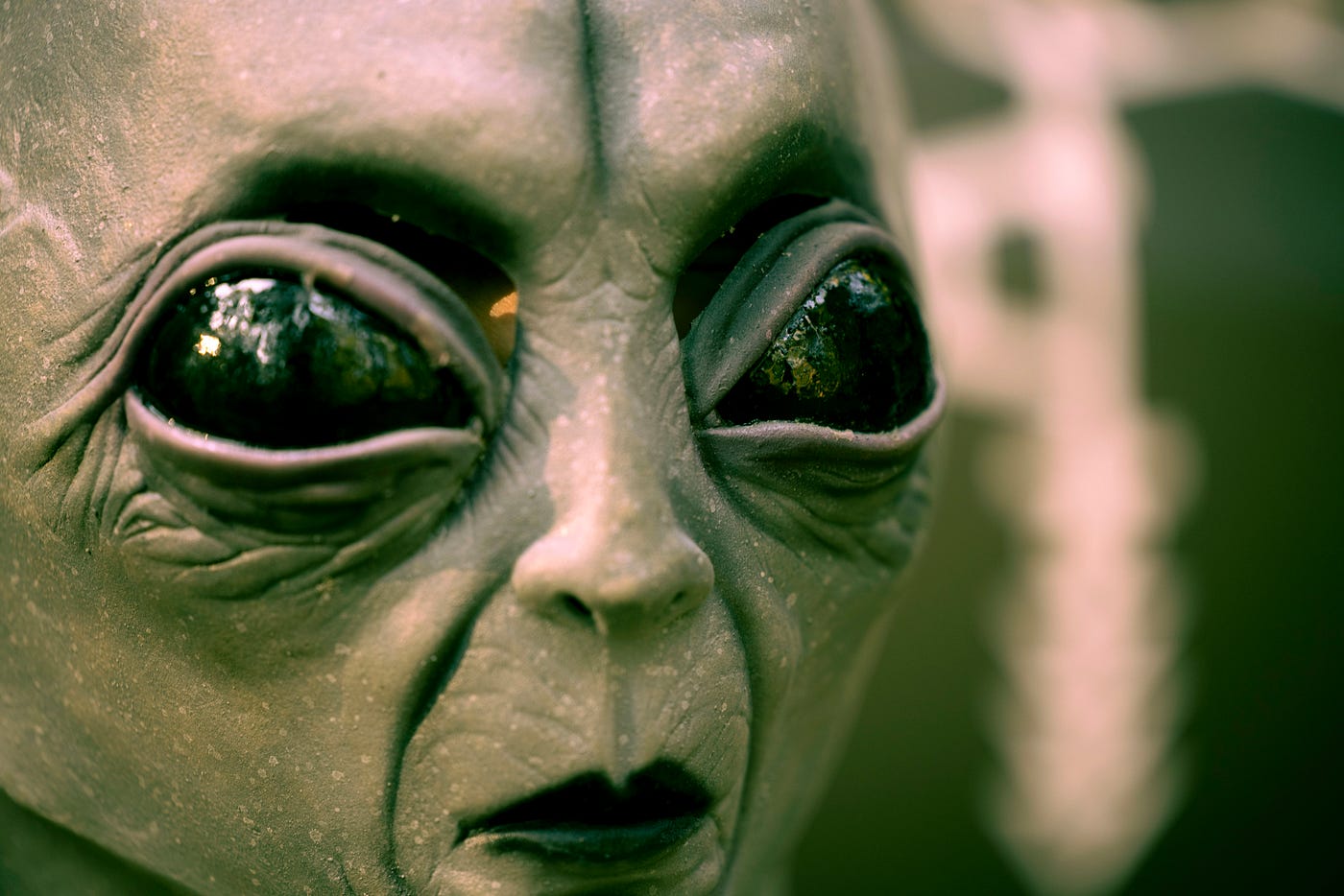 Is Area 51 Hiding Aliens?