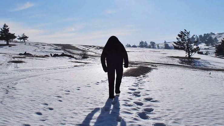 Is the Yeti Real?