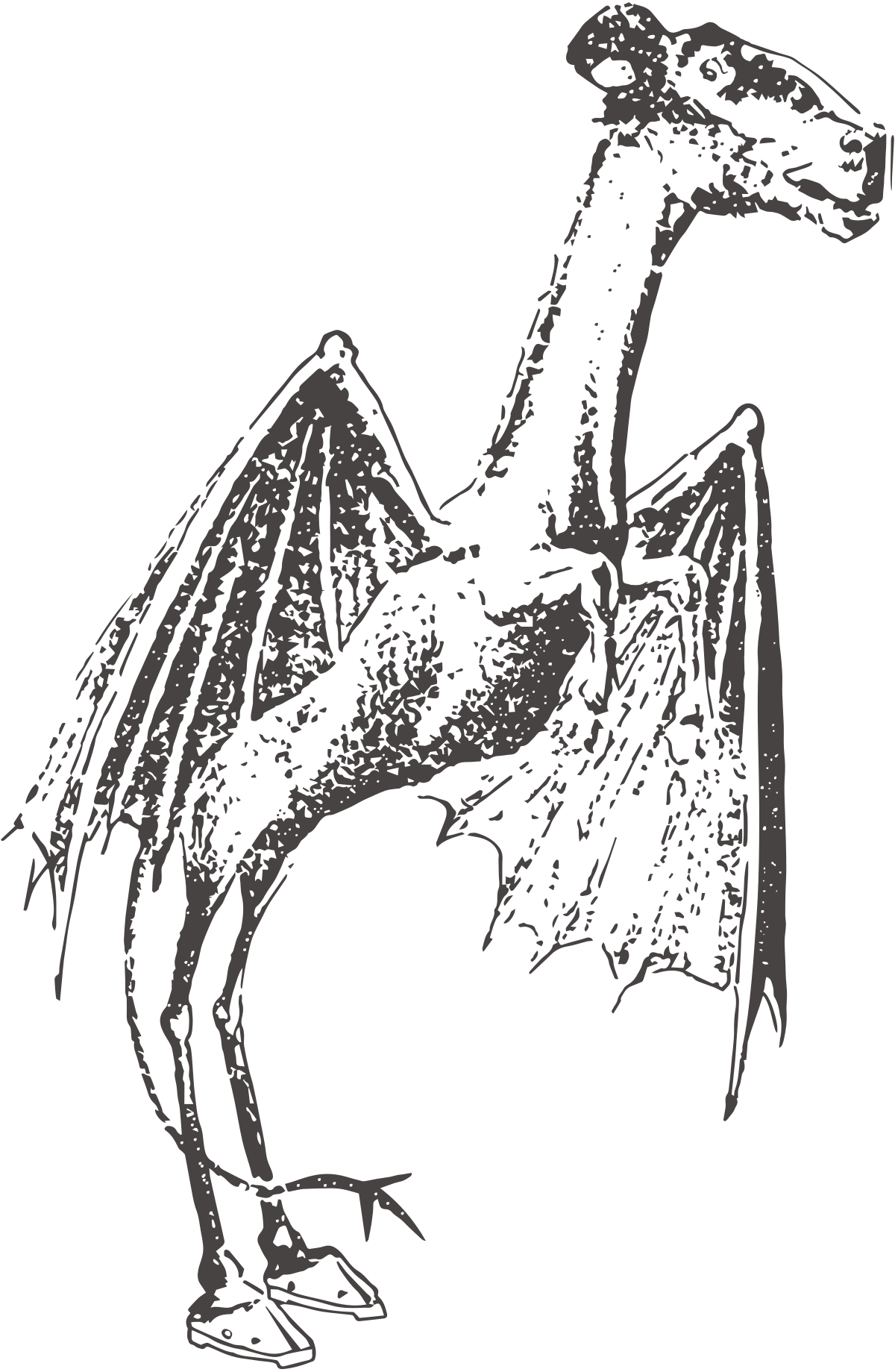 Is the Jersey Devil Real?